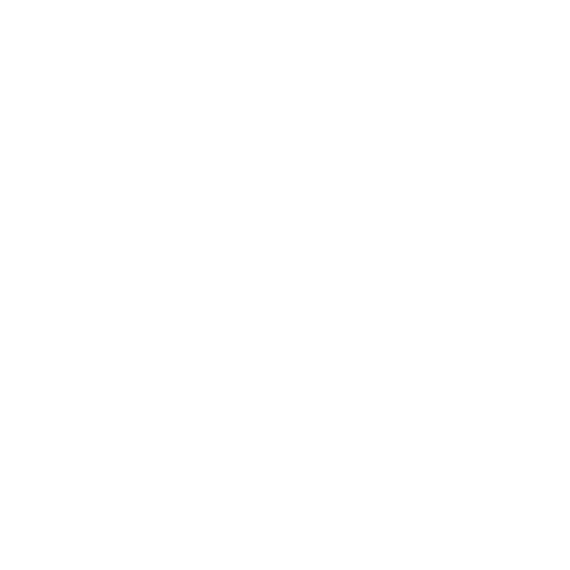 Maggi